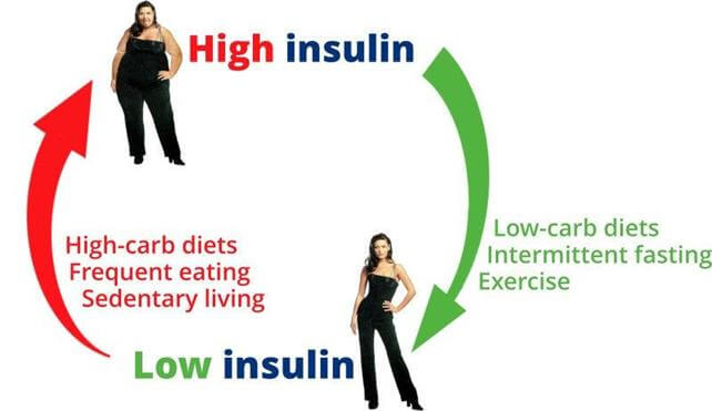Function of insulin in the body: weight management 