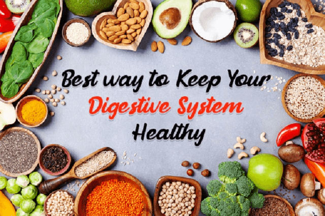 Fiber - Best way to Keep Your Digestive System Healthy