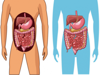 how can you keep your digestive system healthy