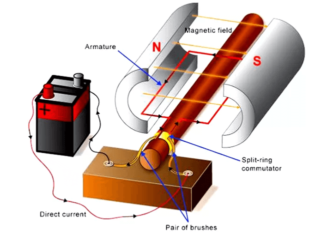 Structure of a simple motor